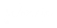 saboaria-criativa.png